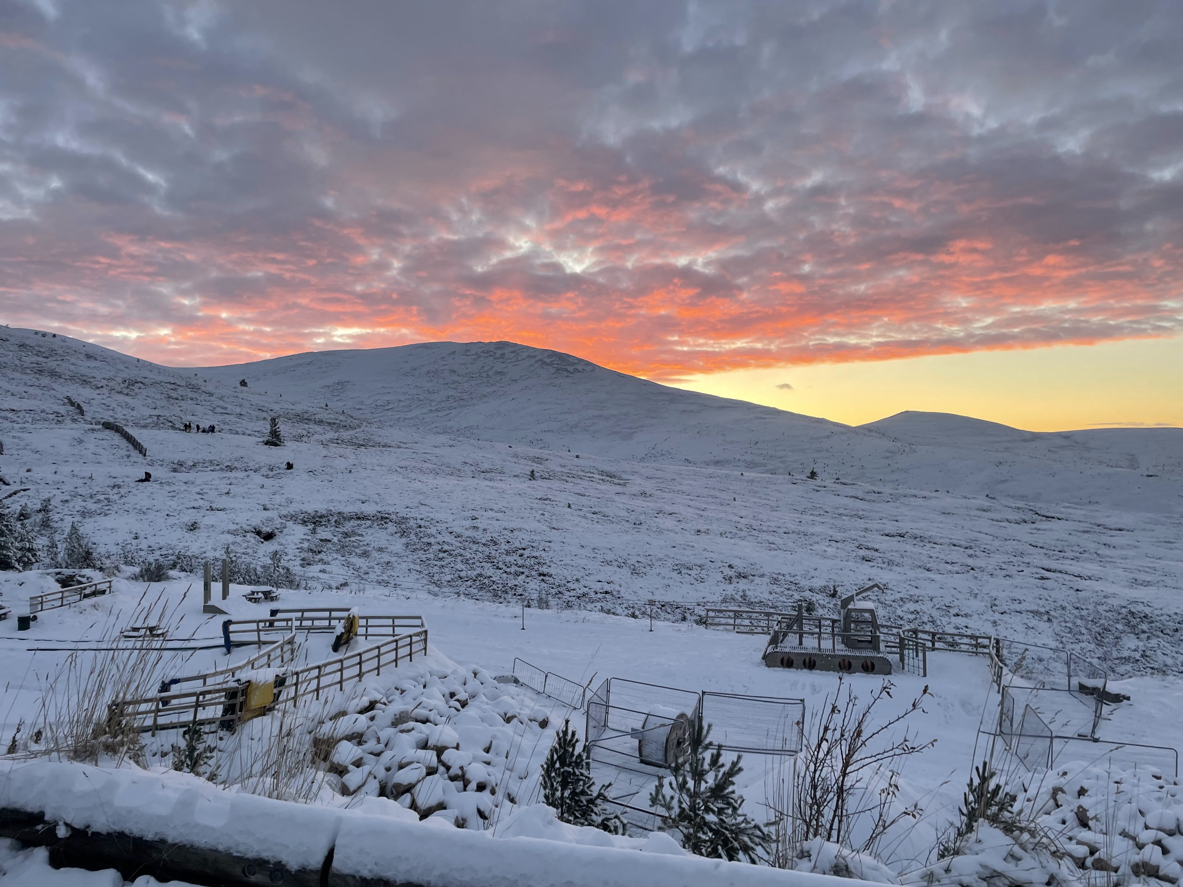 From Pain to Peaks: A Story of Healing and Adventure in 2024